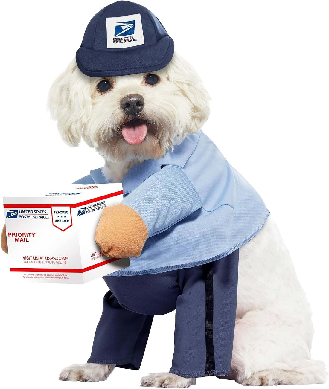 California Costumes Dog Mail Carrier Costume USPS