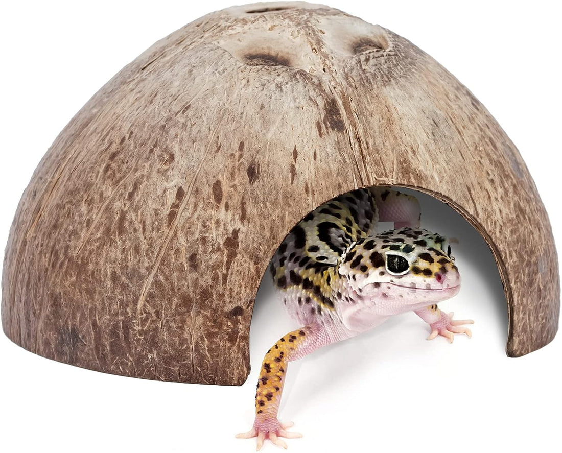2 Pack Natural Coconut Reptile Hideouts, Lizard