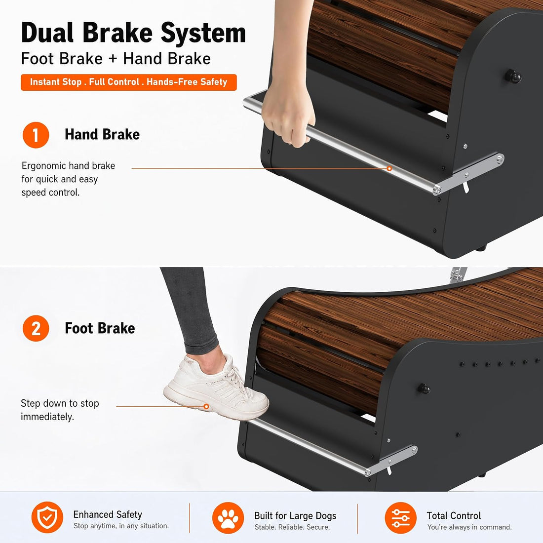 Curved Wooden Dog Treadmill, Zero Assembly, Ready to Use