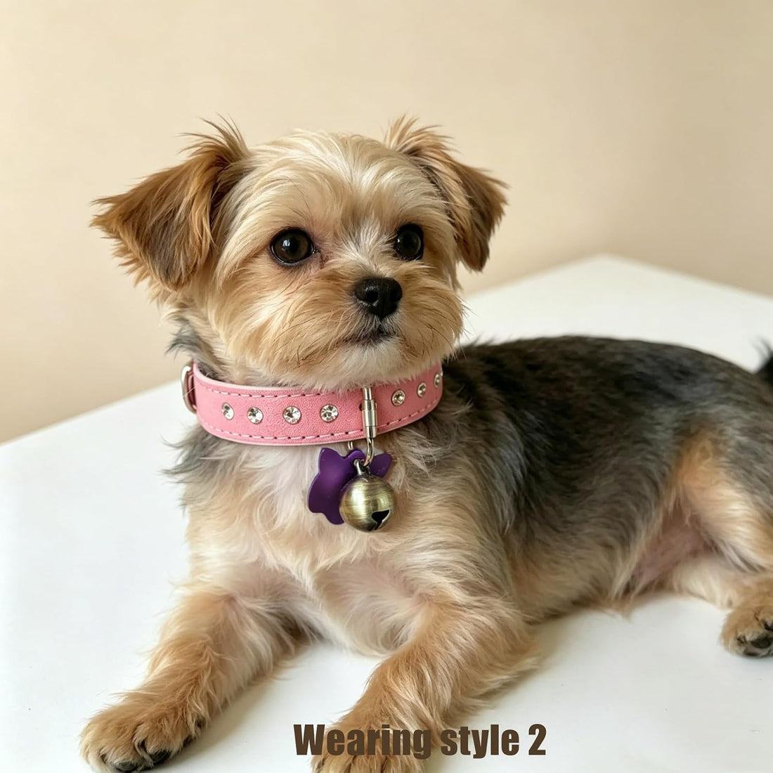 Puppy/Cat Bells for Pet Tracking