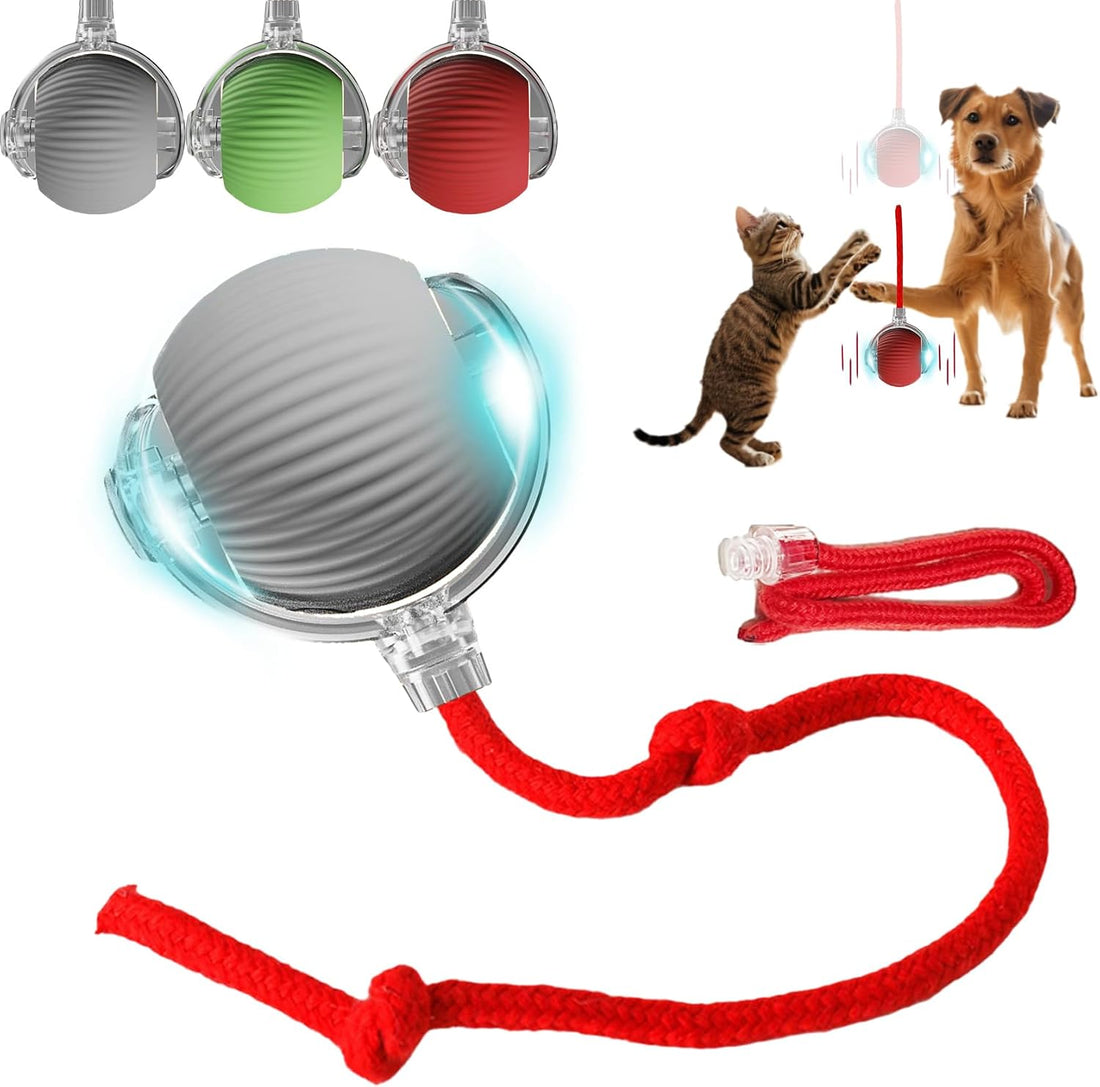 Interactive Dog Cat Toy Ball, Automatic Moving Bouncing Rolling