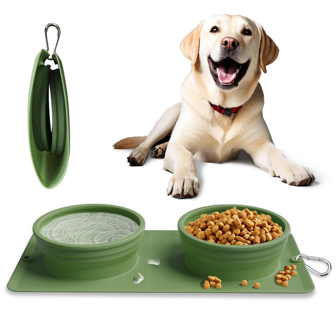Collapsible Portable 2-in-1 Dog Bowl