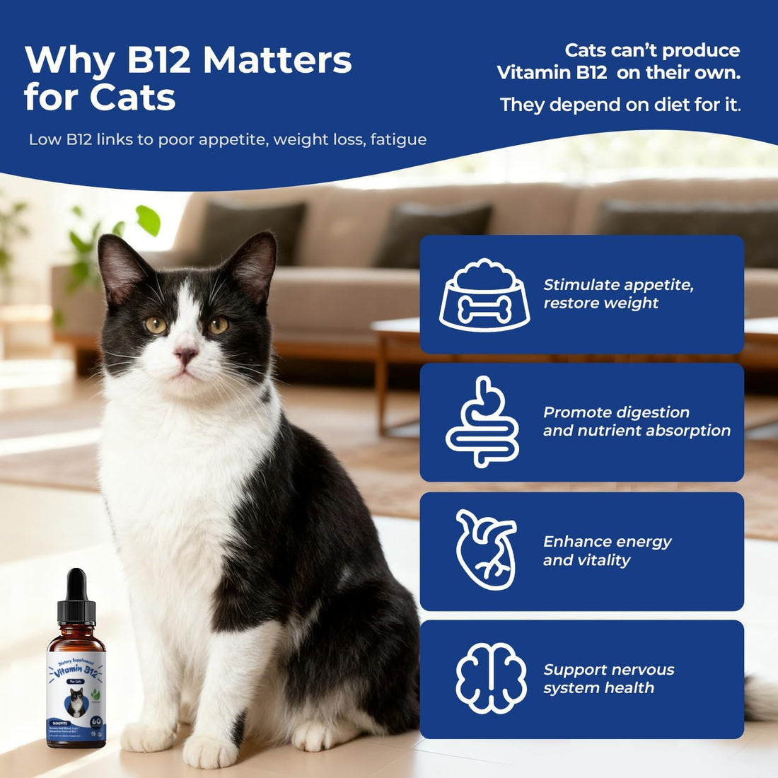 Appetite Stimulant for Cats, Liquid Vitamin B12 & Methylcobalamin