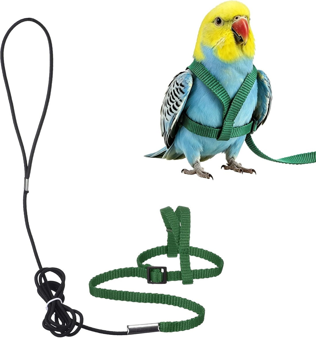 Bird Harness and Leash Adjustable Parrot Leash 47.2" S