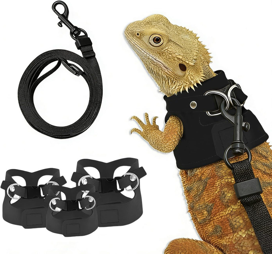 Bearded Dragon Harness & Leash Set, Escape-Proof, 3 Pack (S/M/L)，Black