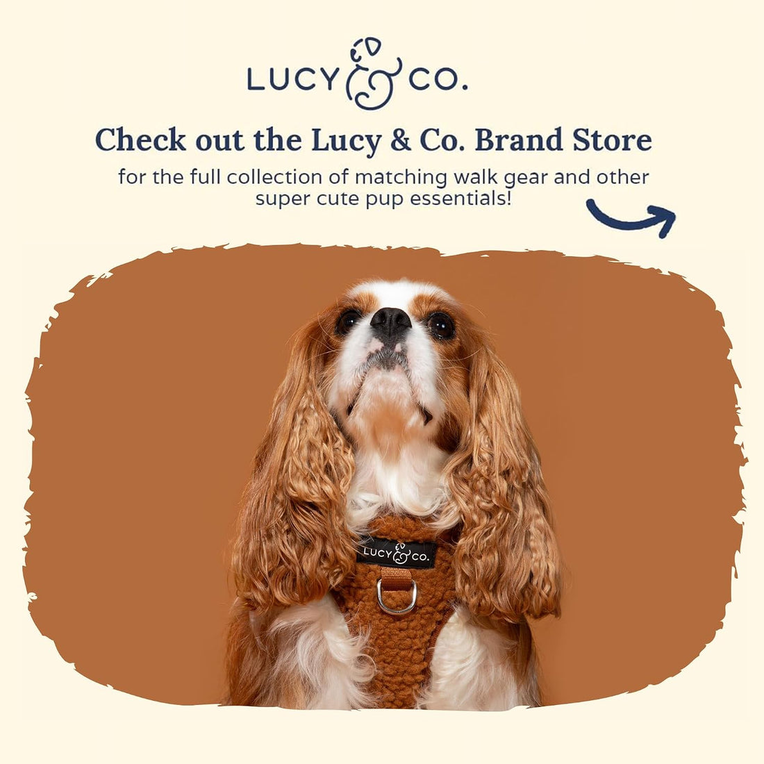 Lucy & Co. Cute No-Pull Cinnamon Teddy Harness