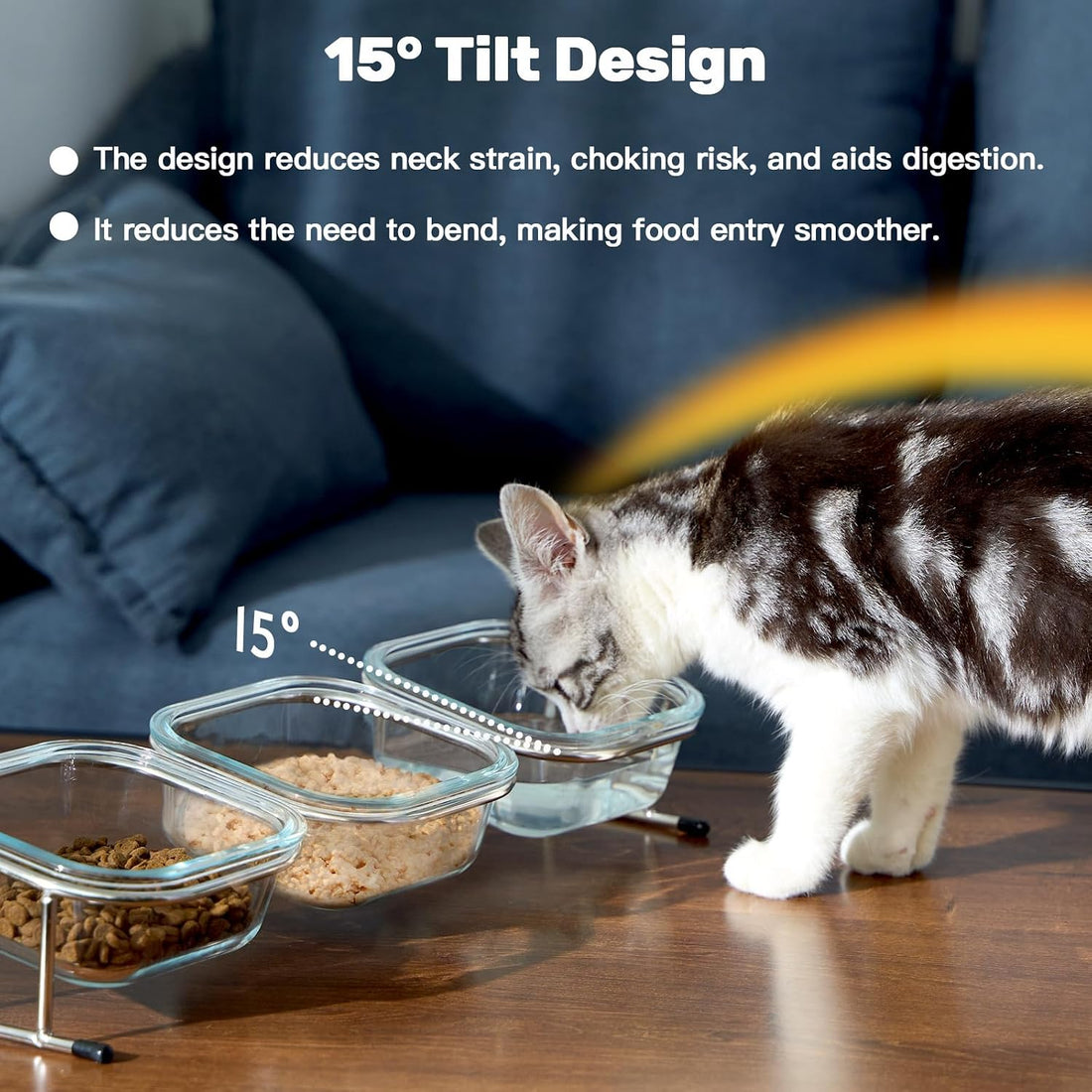 Elevated Cat Bowls, 15° Tilted Glass Raised Cat Food and Water Bowl