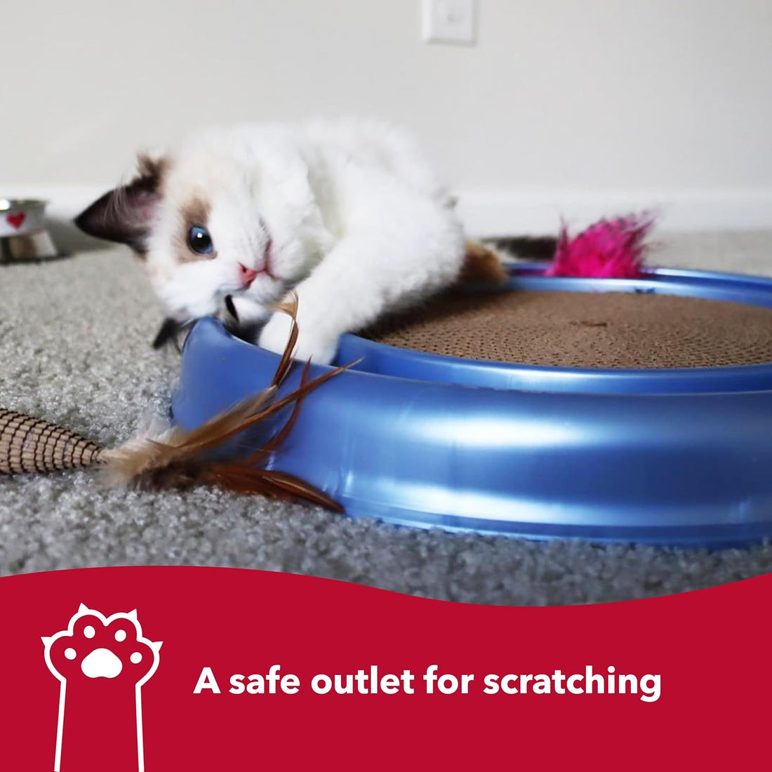 Coastal Pet Turbo Scratcher Cat Toy