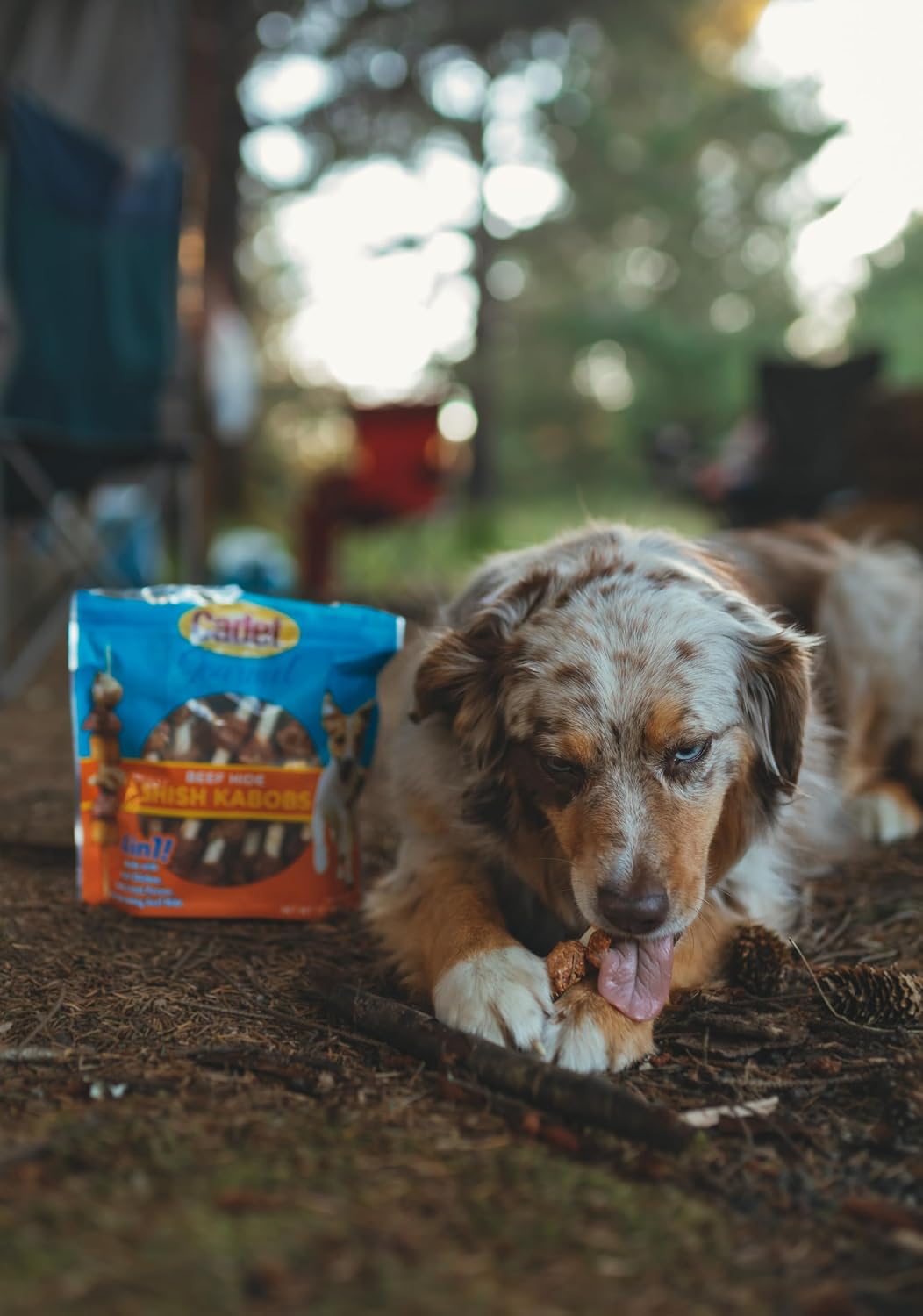 Cadet Gourmet Shish Kabob Dog Chews for Small Dogs