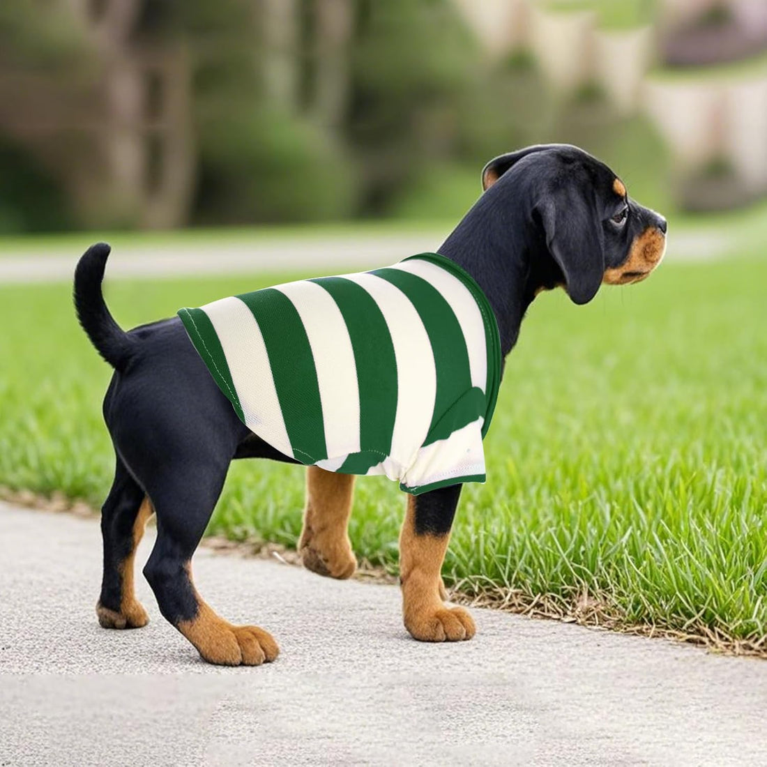 Pistha Dog Shirt Polo Shirt Striped Puppy Clothes for Boy Girl Pets