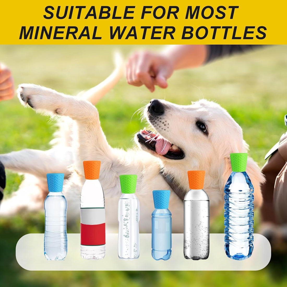Portable Outdoor Shower for Dogs, 3 Pack, Blue/Green/Orange