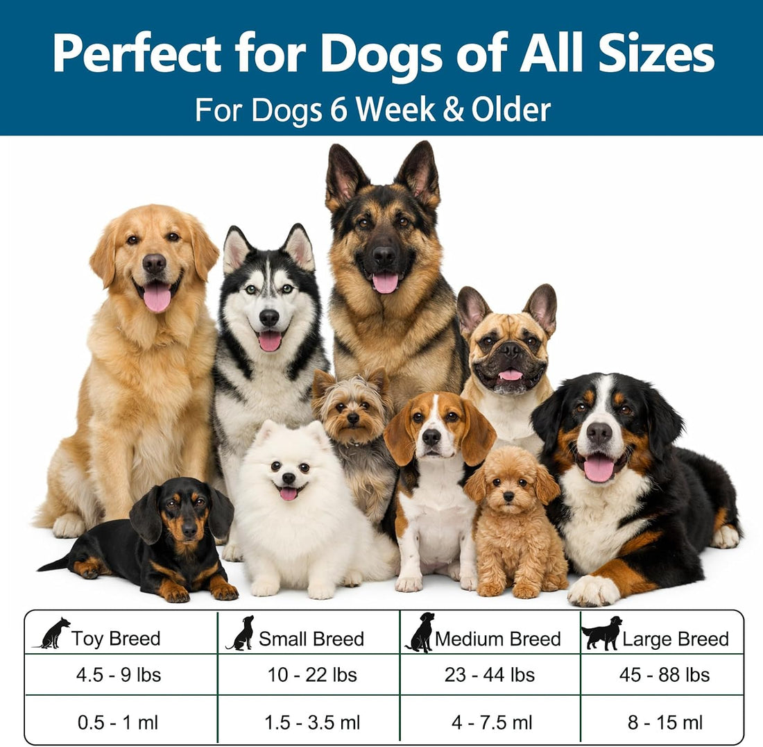 Dewormer for Dogs Fenbendazole for All Wormers, Roundworms