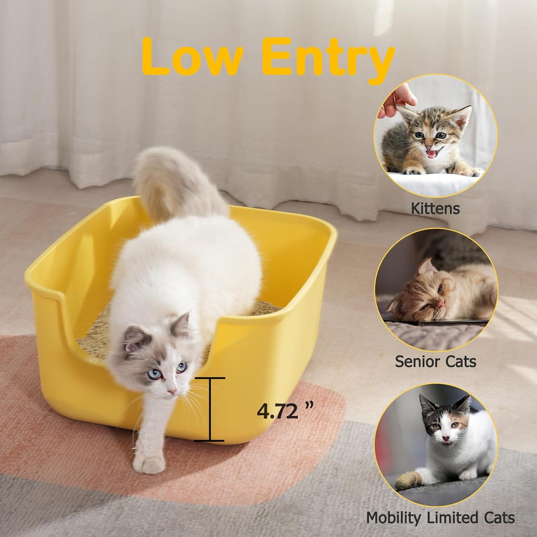 LoopTime Large Cat Litter Box with High Sides,Cat Boxes for Indoor