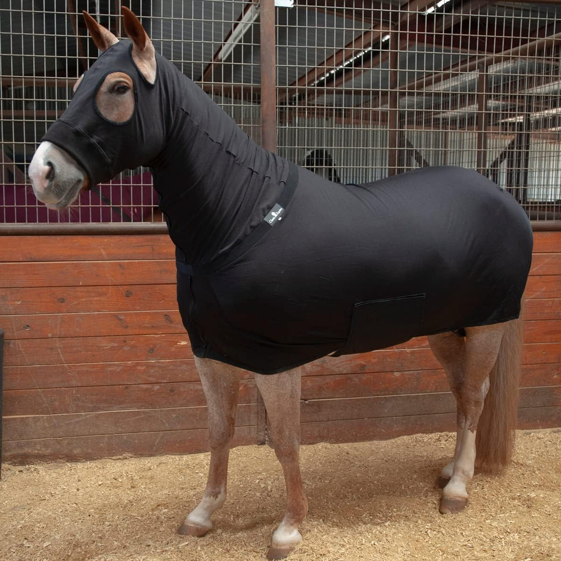 Classic Equine Full Body Horse Slinky Black M