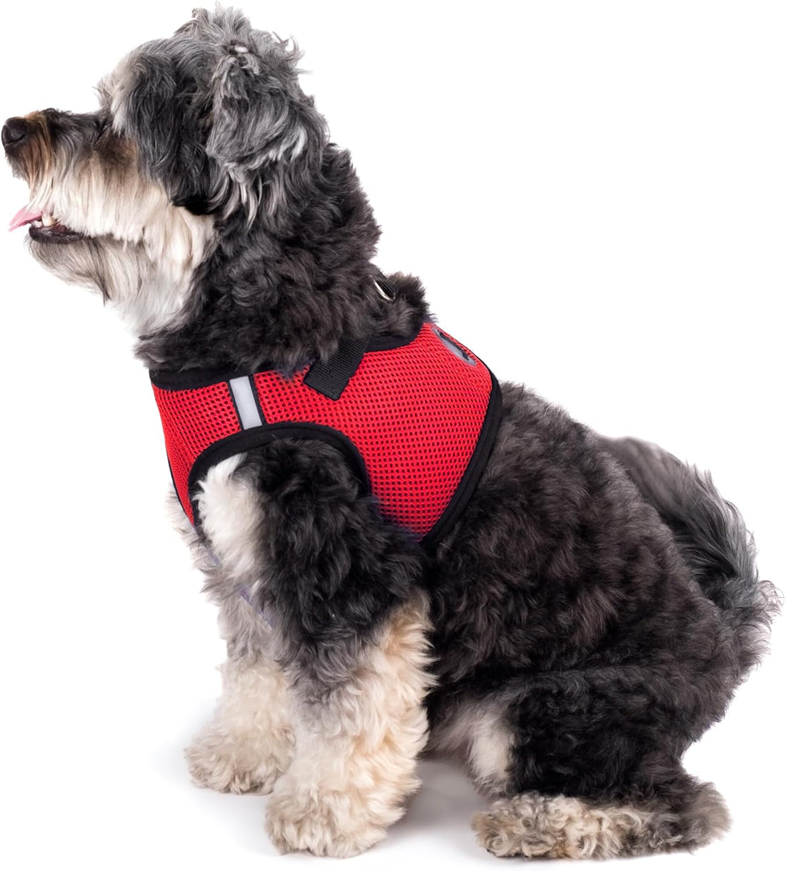 THE WORTHY DOG Easy Step-in Mesh Harness for Medium Dogs, Black