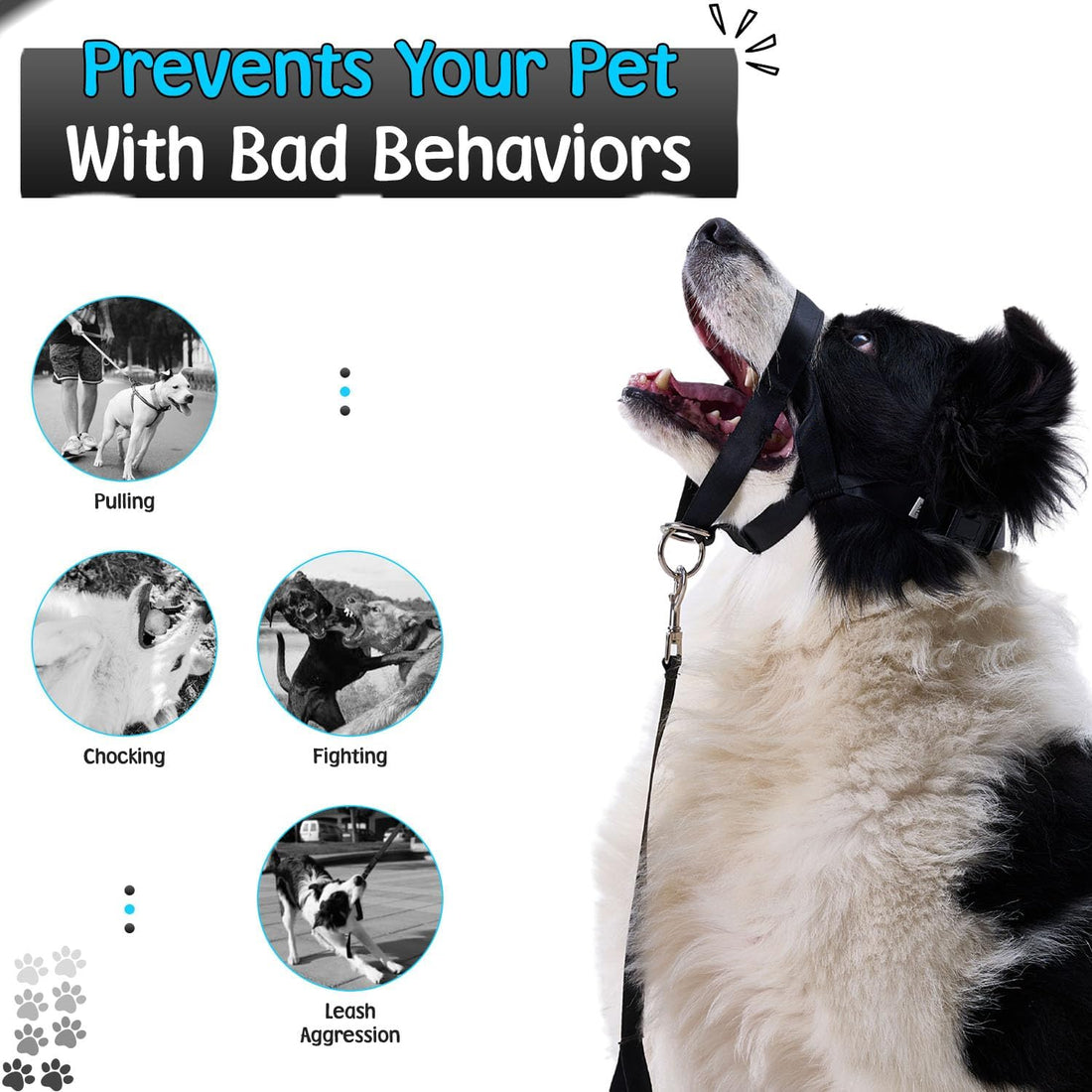 Gentle Leader for Dogs + 2X Free Training Clicker