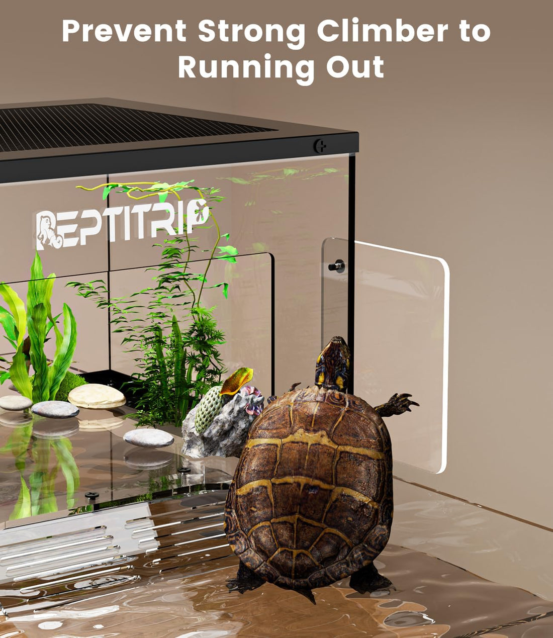 Turtle Basking Platform for 10-13” Wide Aquariums 30/45/55 Gallon