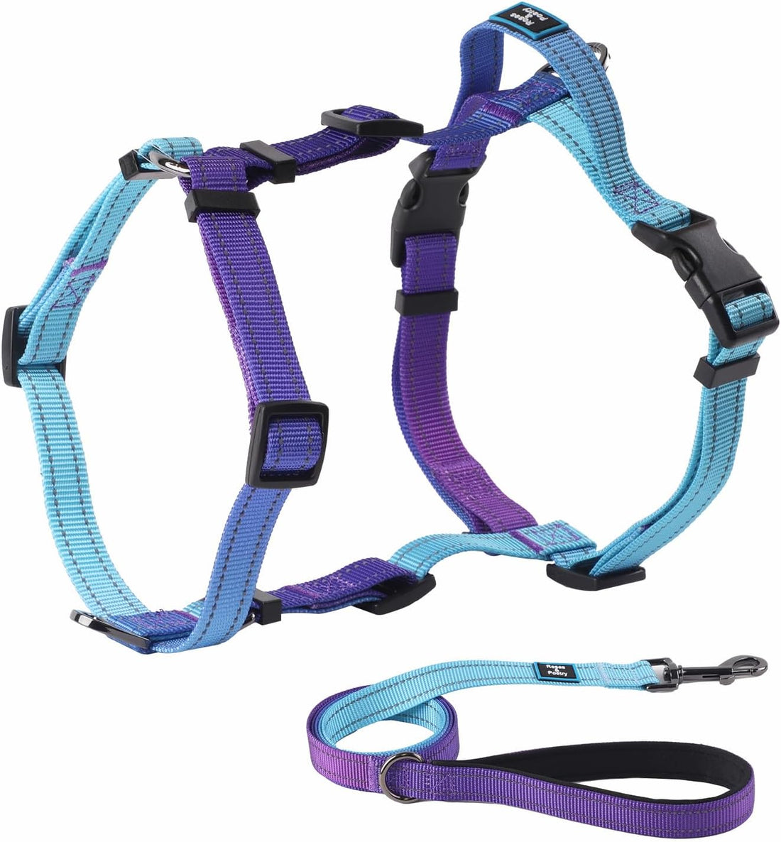 Roses&Poetry Small Dog Harness and Leash Set