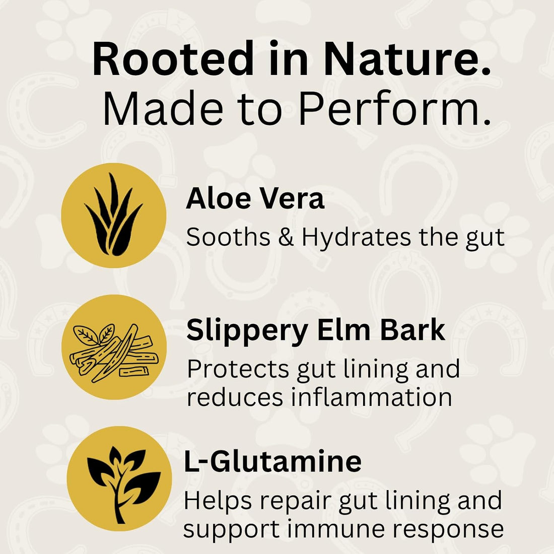 Horse Digestive Support System | Emergency & Daily GI Balance