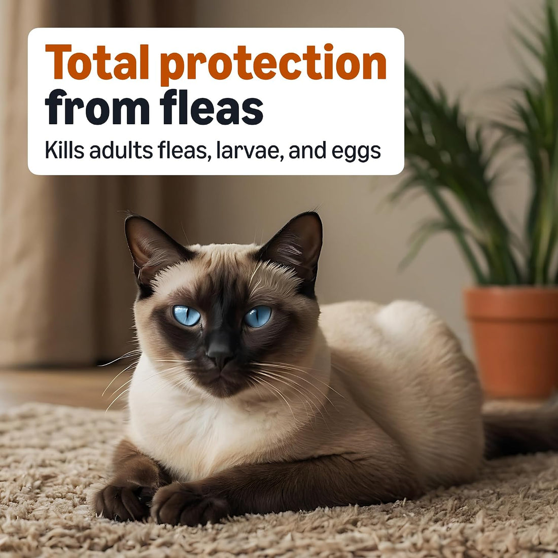 Topical Flea Treatment for Medium Cats, 4 Count, Packaging May Vary