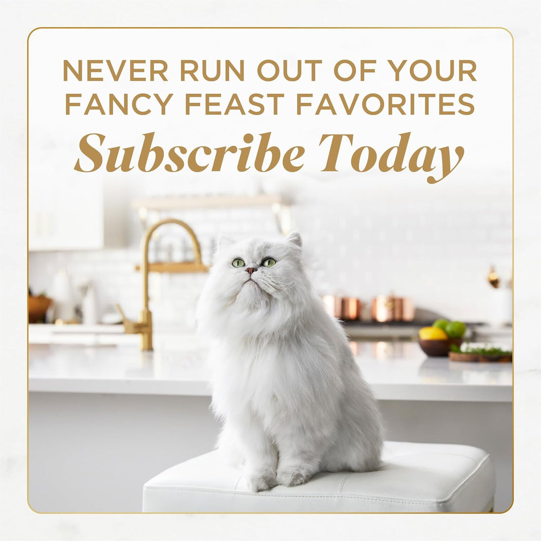 Purina Fancy Feast Savory Centers Wet Cat Food Pate Variety Pack