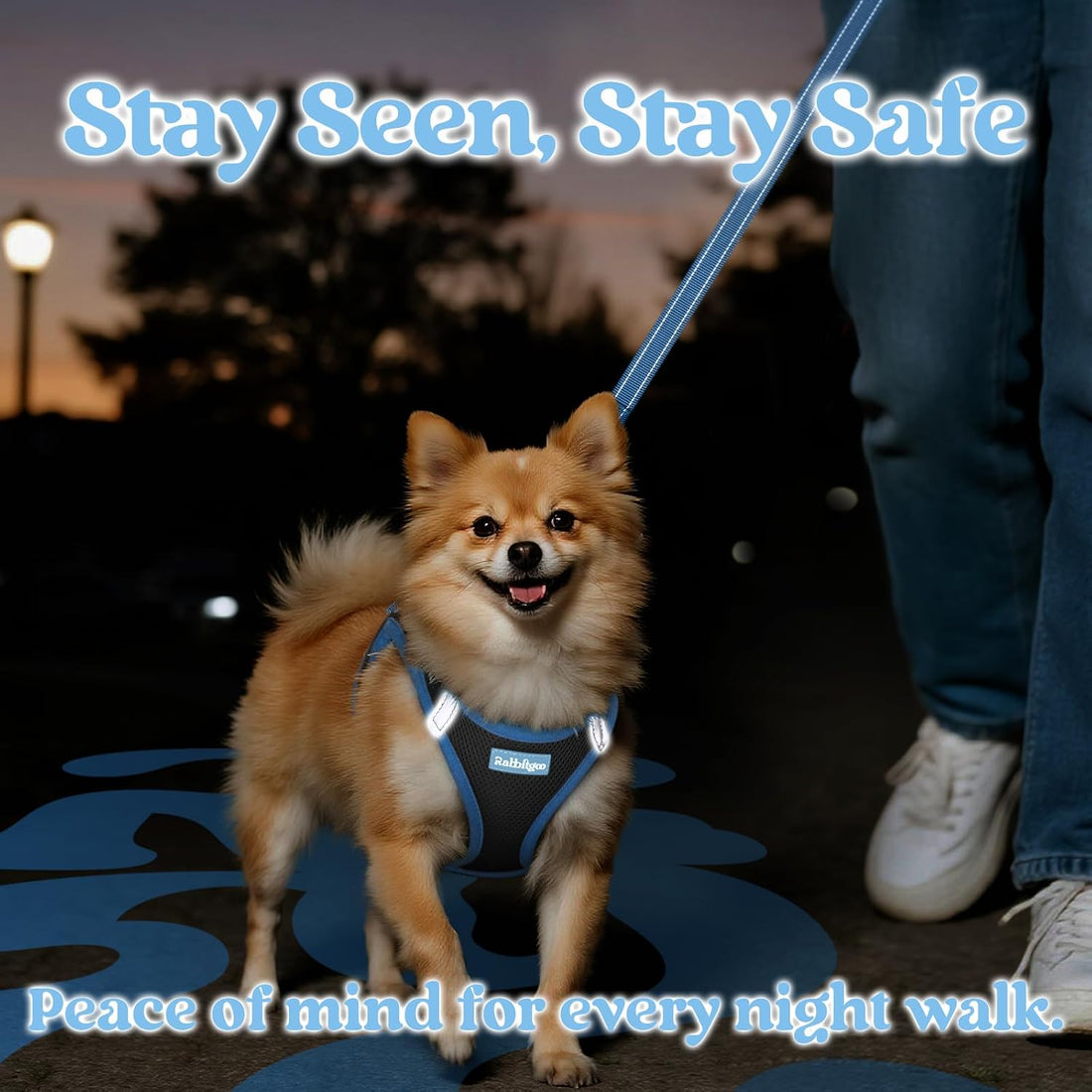 rabbitgoo Dog Harness Small Sized and Leash Set, Step in Soft Vest