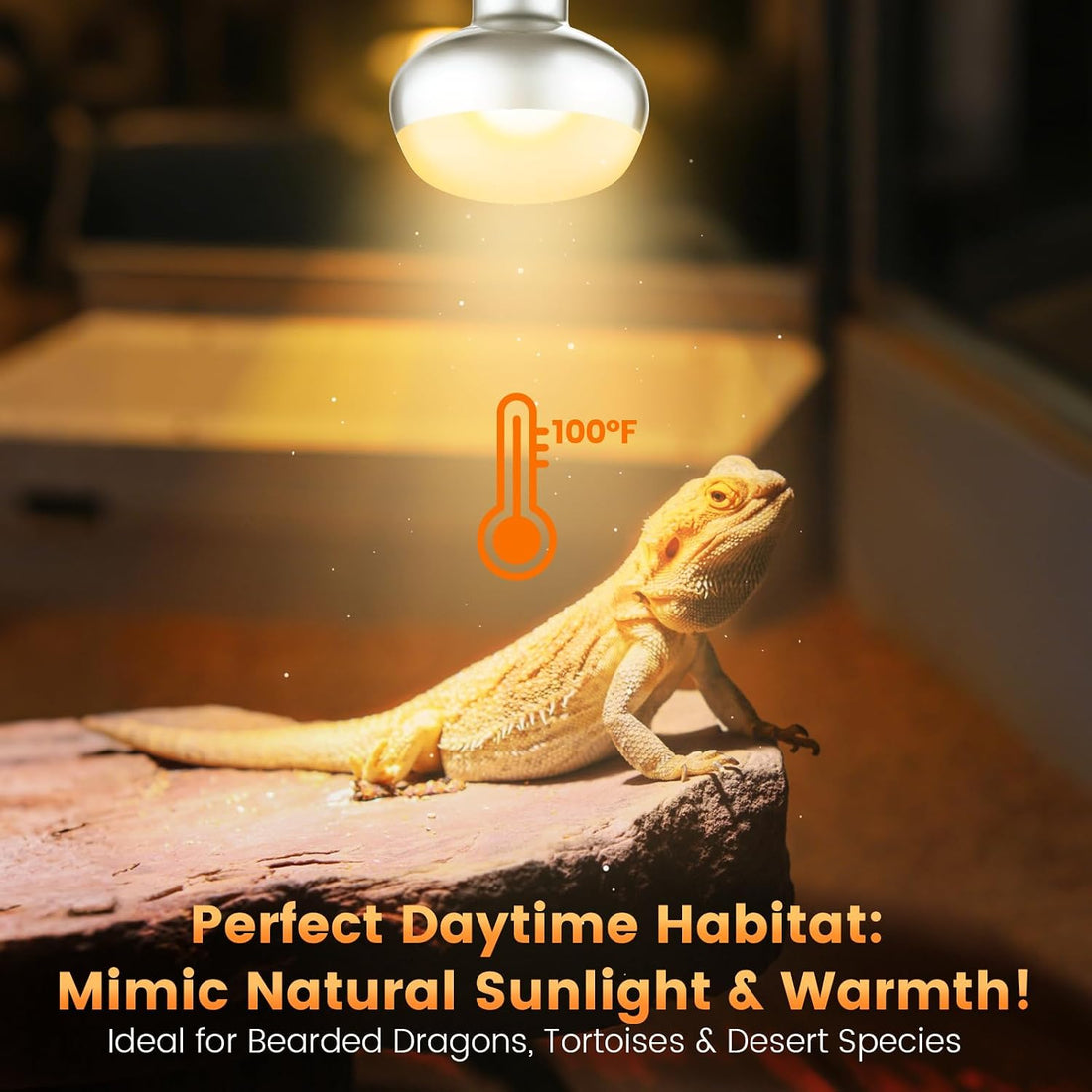 REPTITRIP Dual Reptile Light Fixture with 100W Daytime Heat Bulb & 100W Nighttime Ceramic Heat Emitter, 2 Independent Switches, Reptile Heat Lamp Combo Pack - No UVB