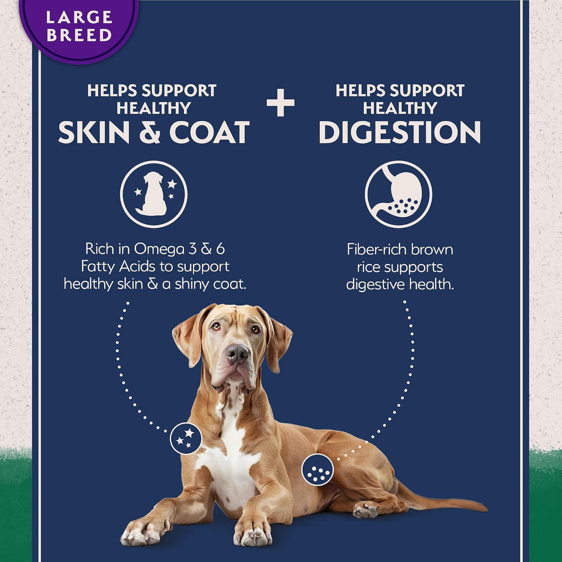 Natural Balance Limited Ingredient, Lamb & Brown Rice, 26 lb