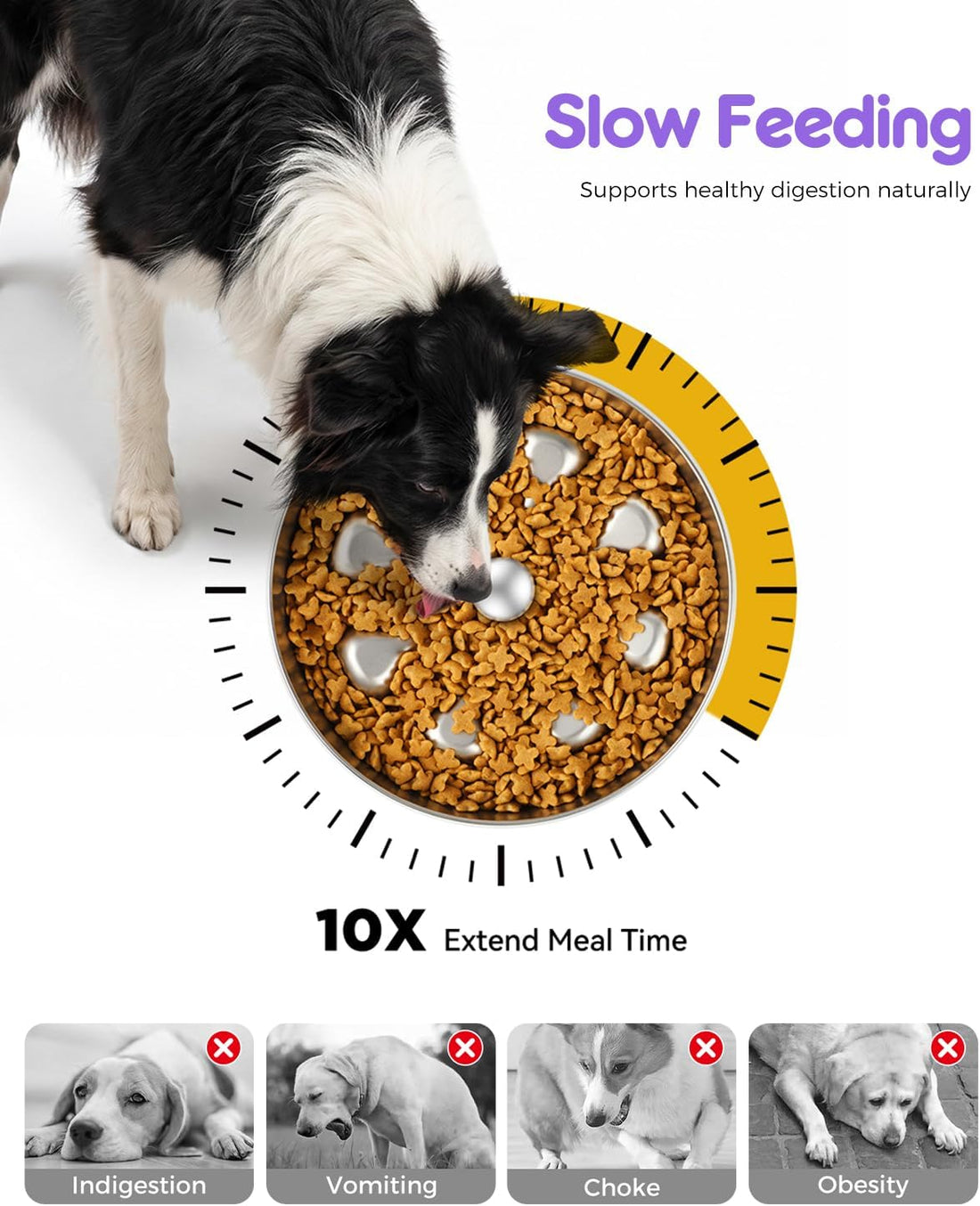 Oiwliur Slow Feeder Dog Bowls