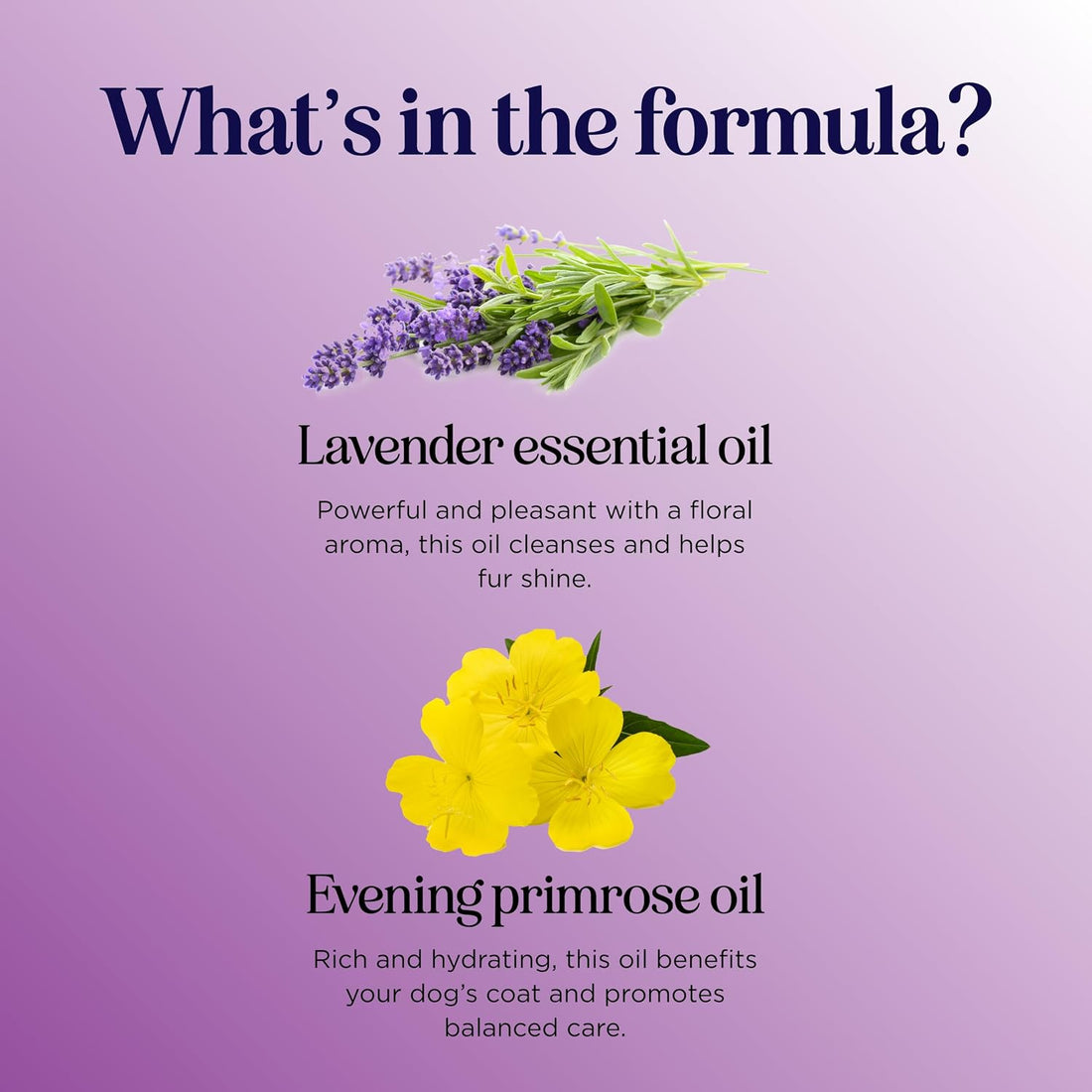 Lavender Oil Dog Deodorizing Spray