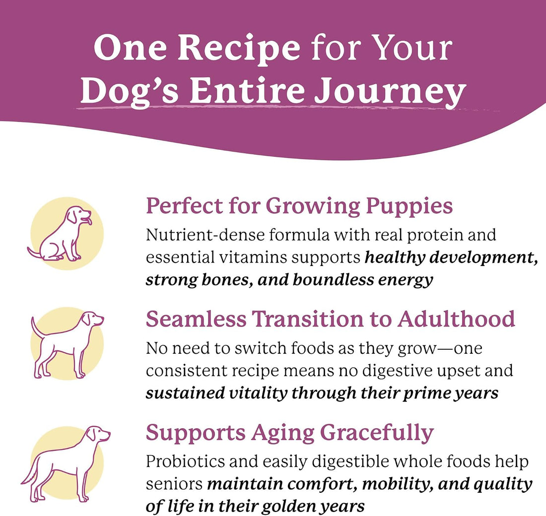 Dr. Harvey's Every Dog Health, Meal with Dehydrated Beef (5 lb)