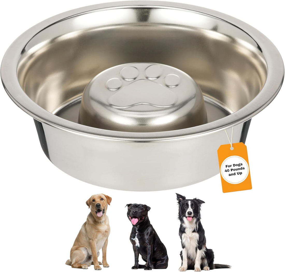 Neater Pet Brands Stainless Steel Slow Feed Dog Bowl