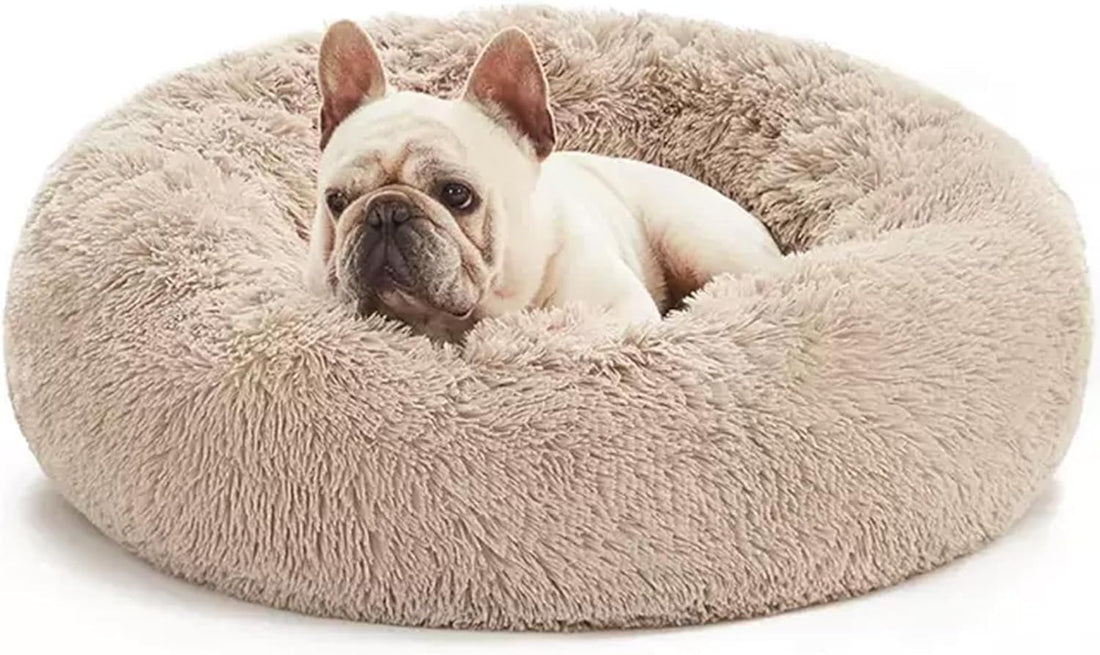 Washable Calming Dog & Cat Bed for Ultra Large Small Medium Size Pet