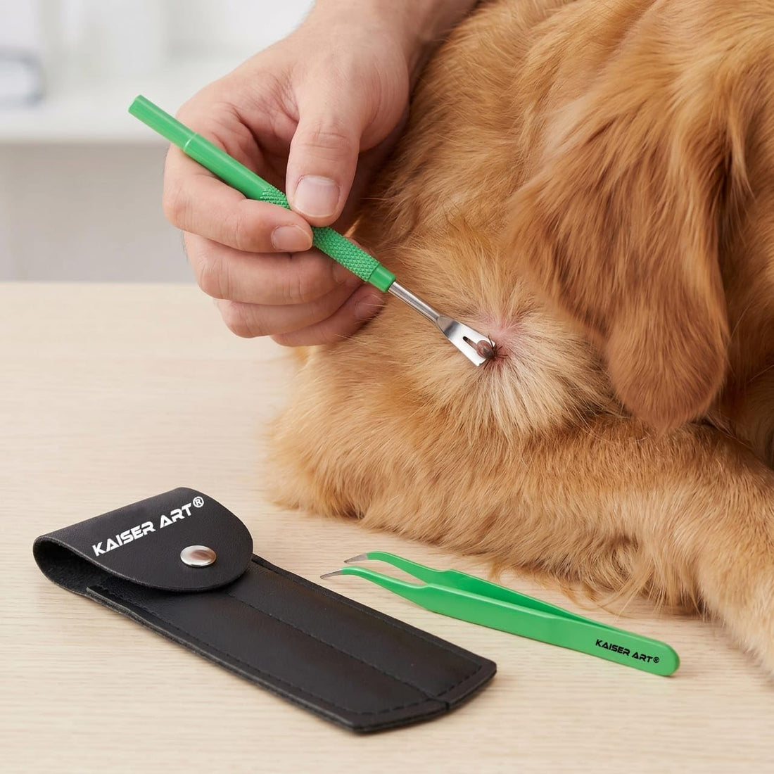 Tick Remover Tool for Dogs, Cats & Humans | Deer Tick Remover Kit