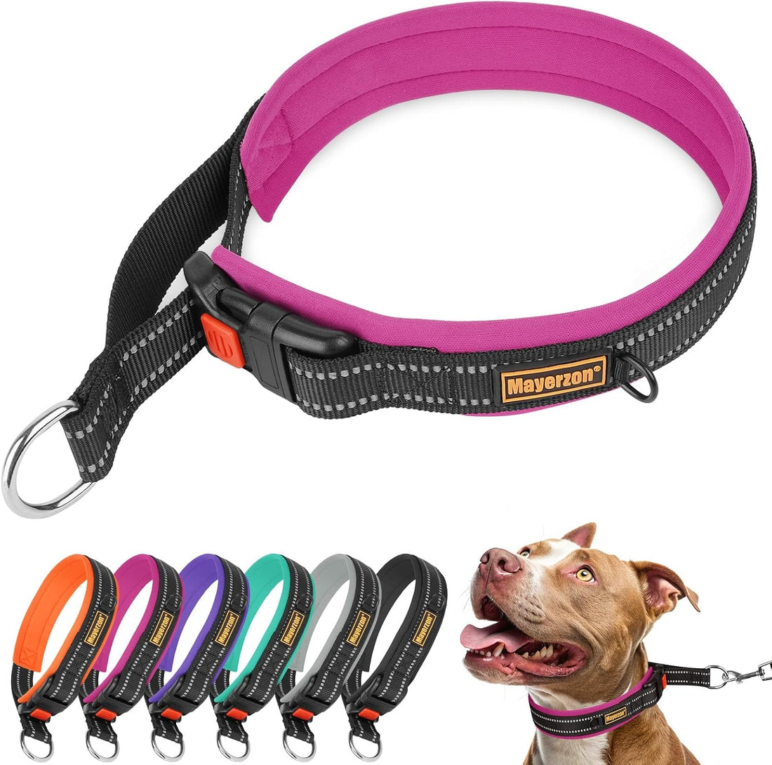 Mayerzon 1.5" Wide Martingale Collar for Small Medium Dogs Precision