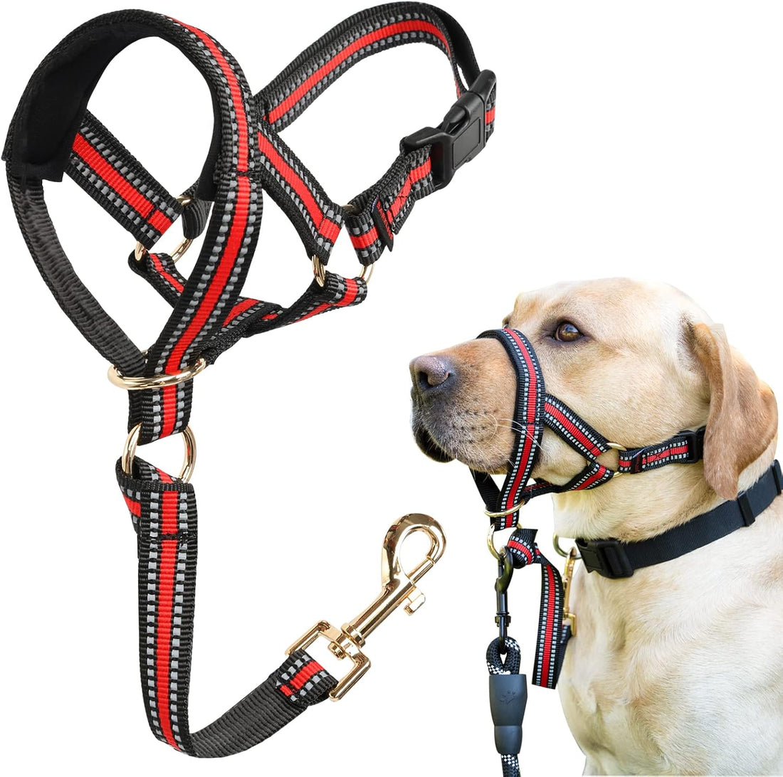 BARKLESS Muzzle Leash for Heavy Pullers, No Pull Stylish Head Halter