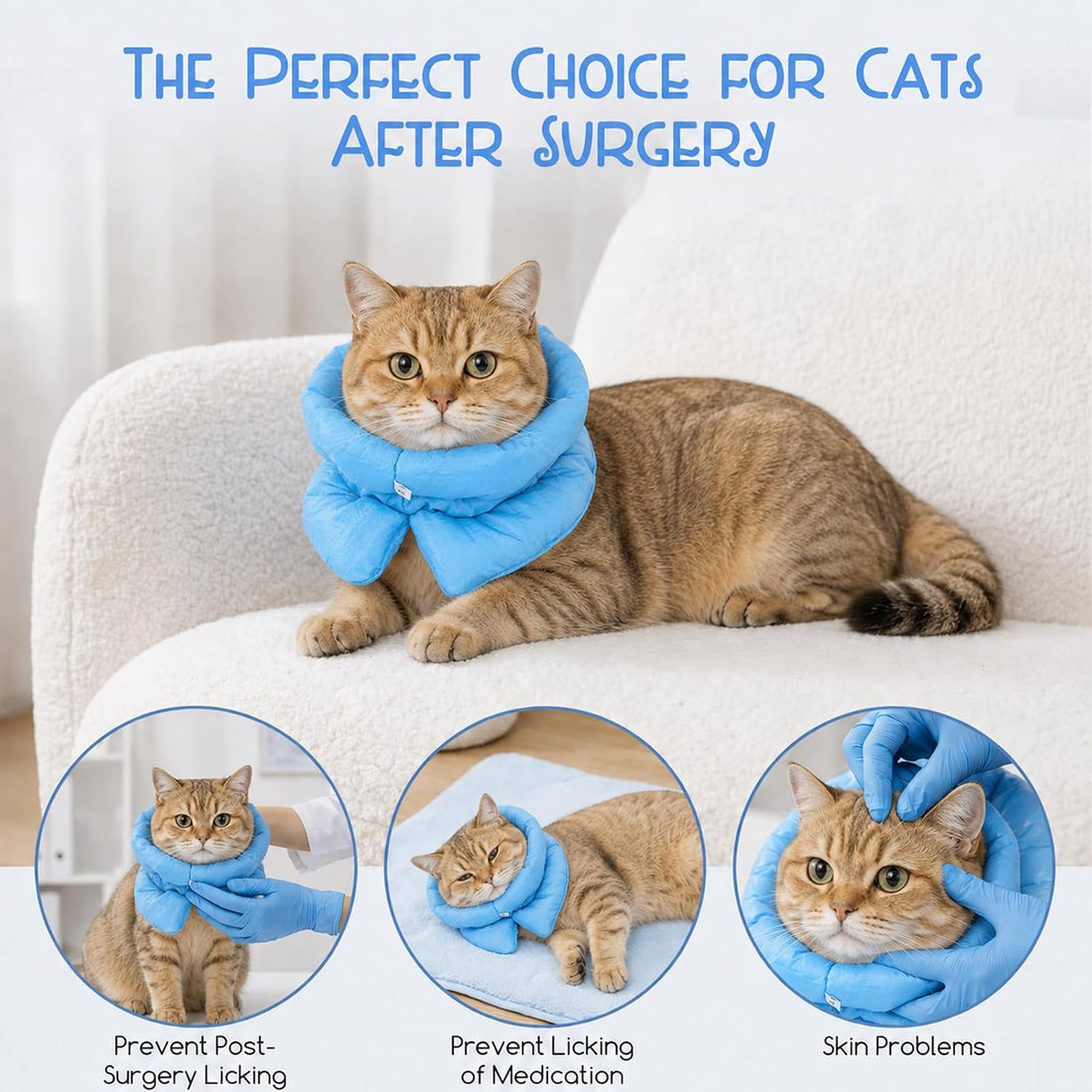Adjustable Soft Recovery Collar for Cats