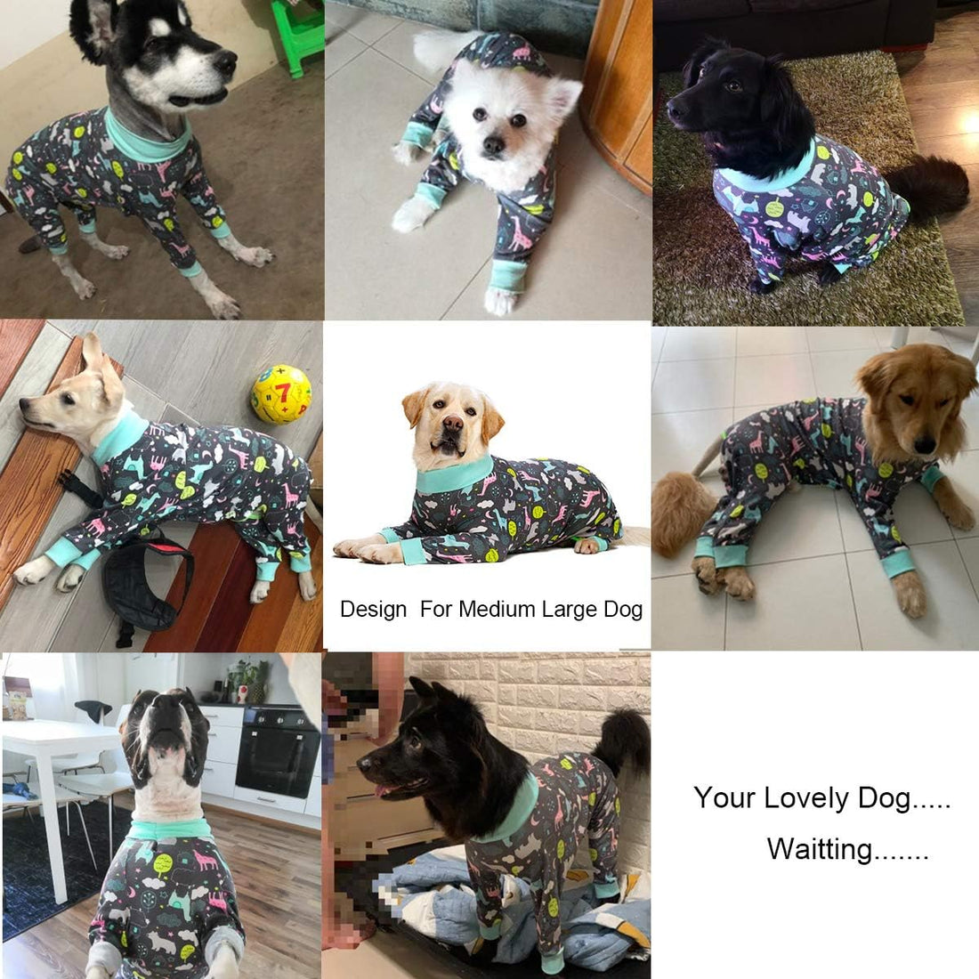 Dog Surgery Recovery Suit Female Male for Dogs After Surgery Medium