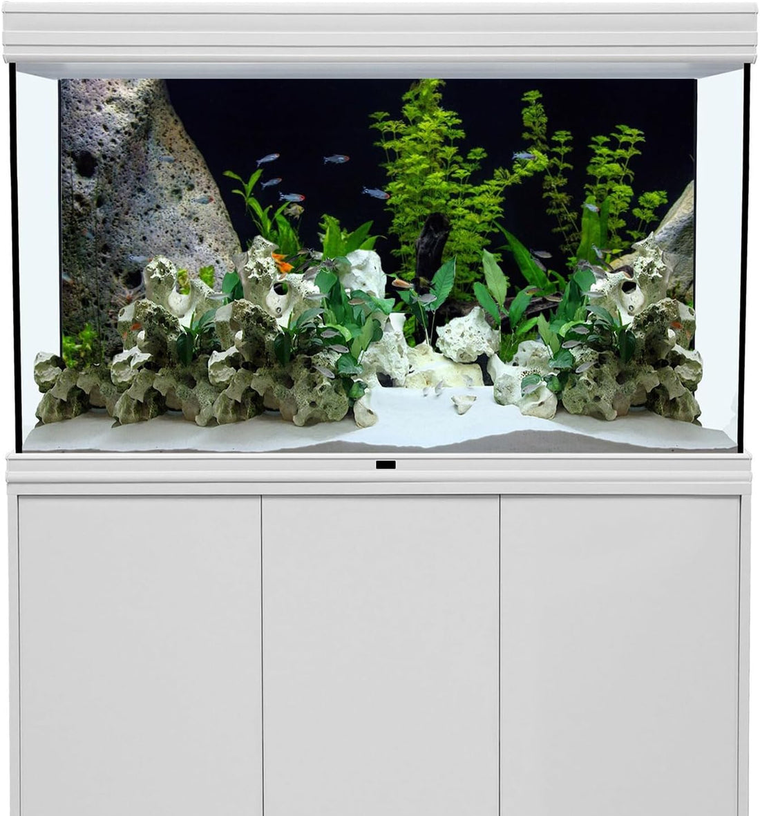 Underwater Aquatic Fish Tank Background Stone Aquarium Backdrop 72x24