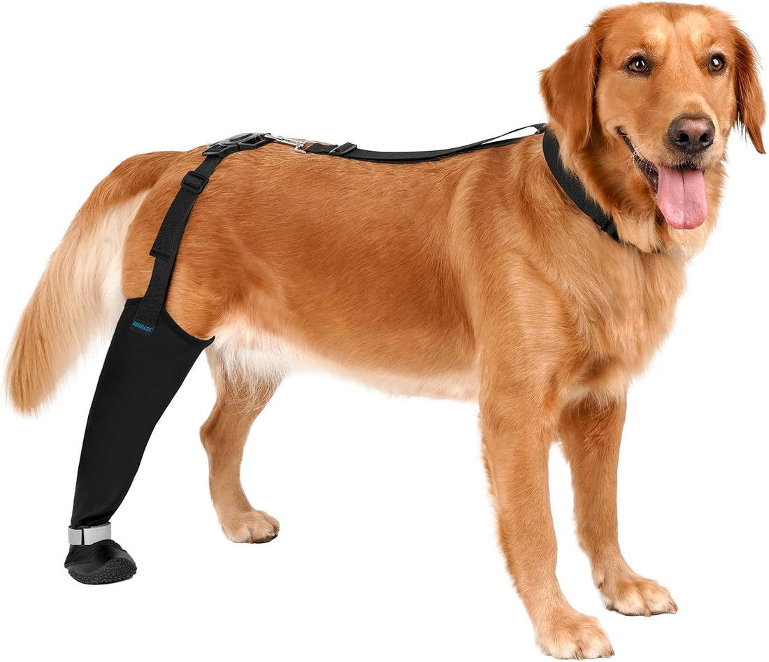 BARKLESS Rear Leg Sleeve with Paw Protector