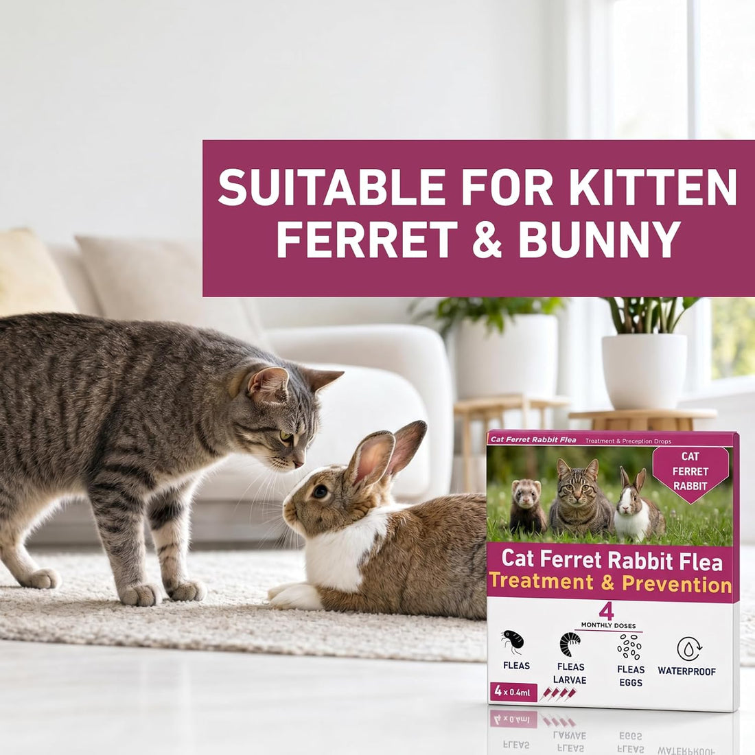 Topical Care Drops for Cats Spot-On Drops for Kitten Bunny Ferret