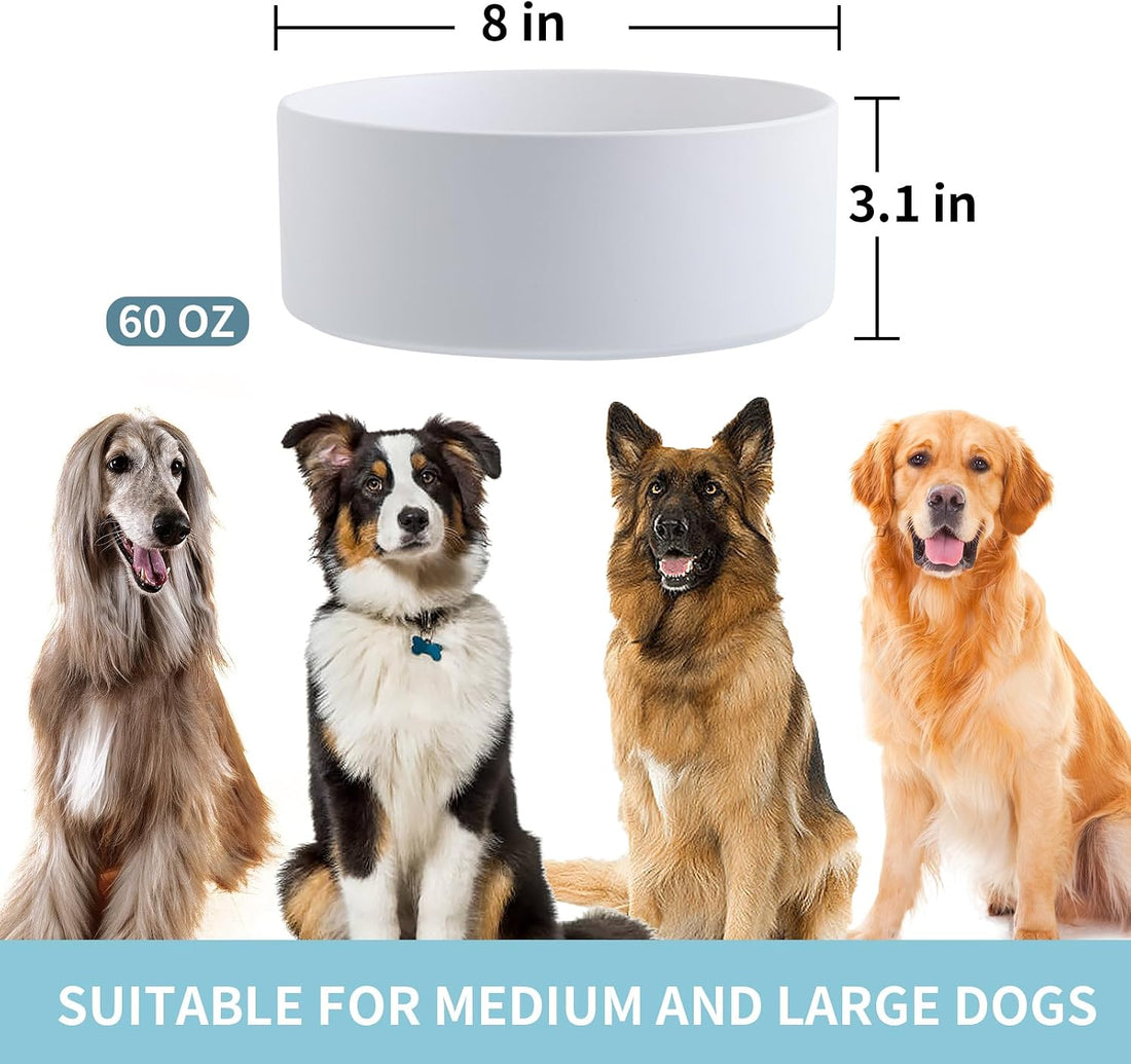 White Raised/Elevated Ceramic Dog Bowl for Medium Large Sized