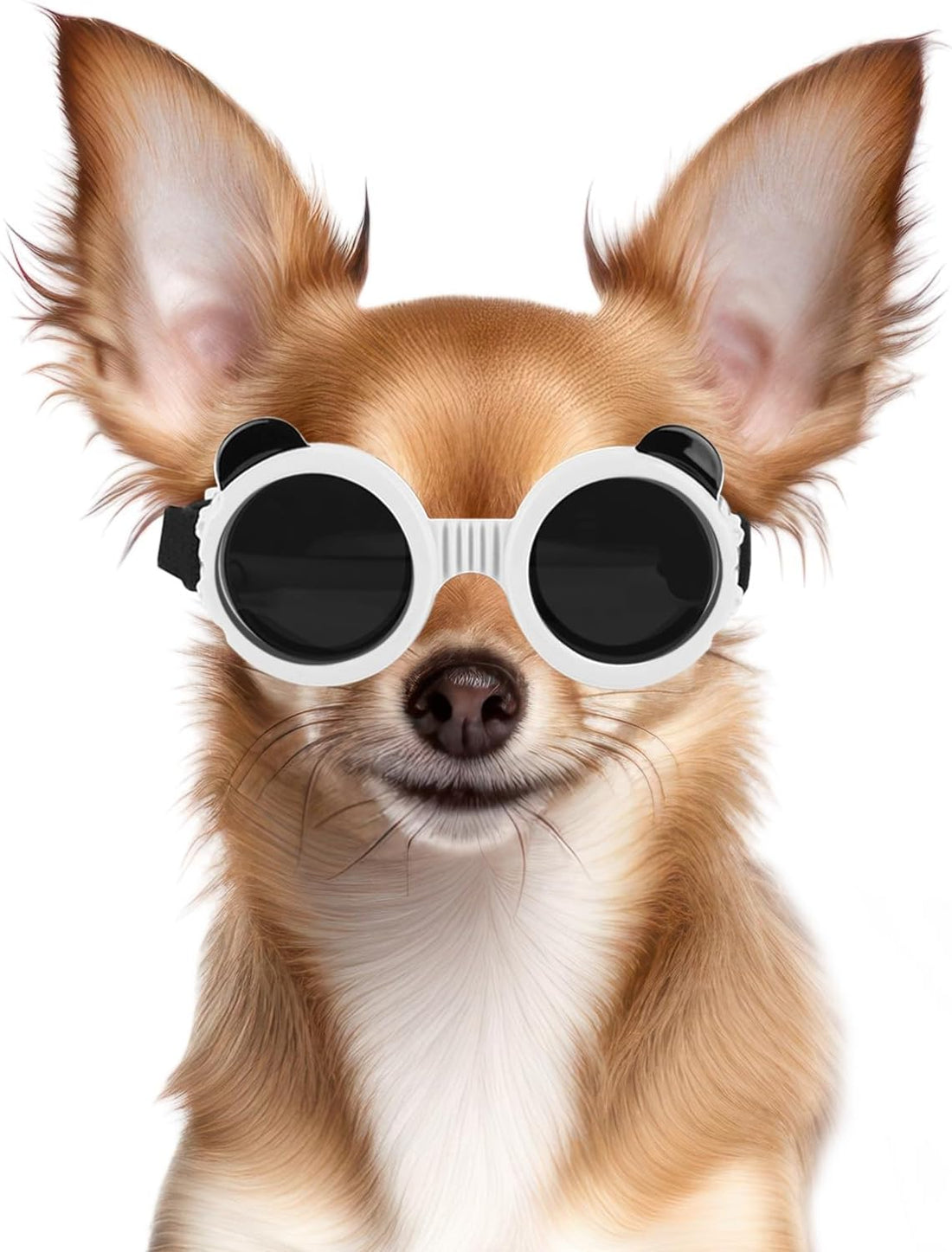 Dog Goggles for Small Breed Pet Sunglasses Eye Protection Anti-UV