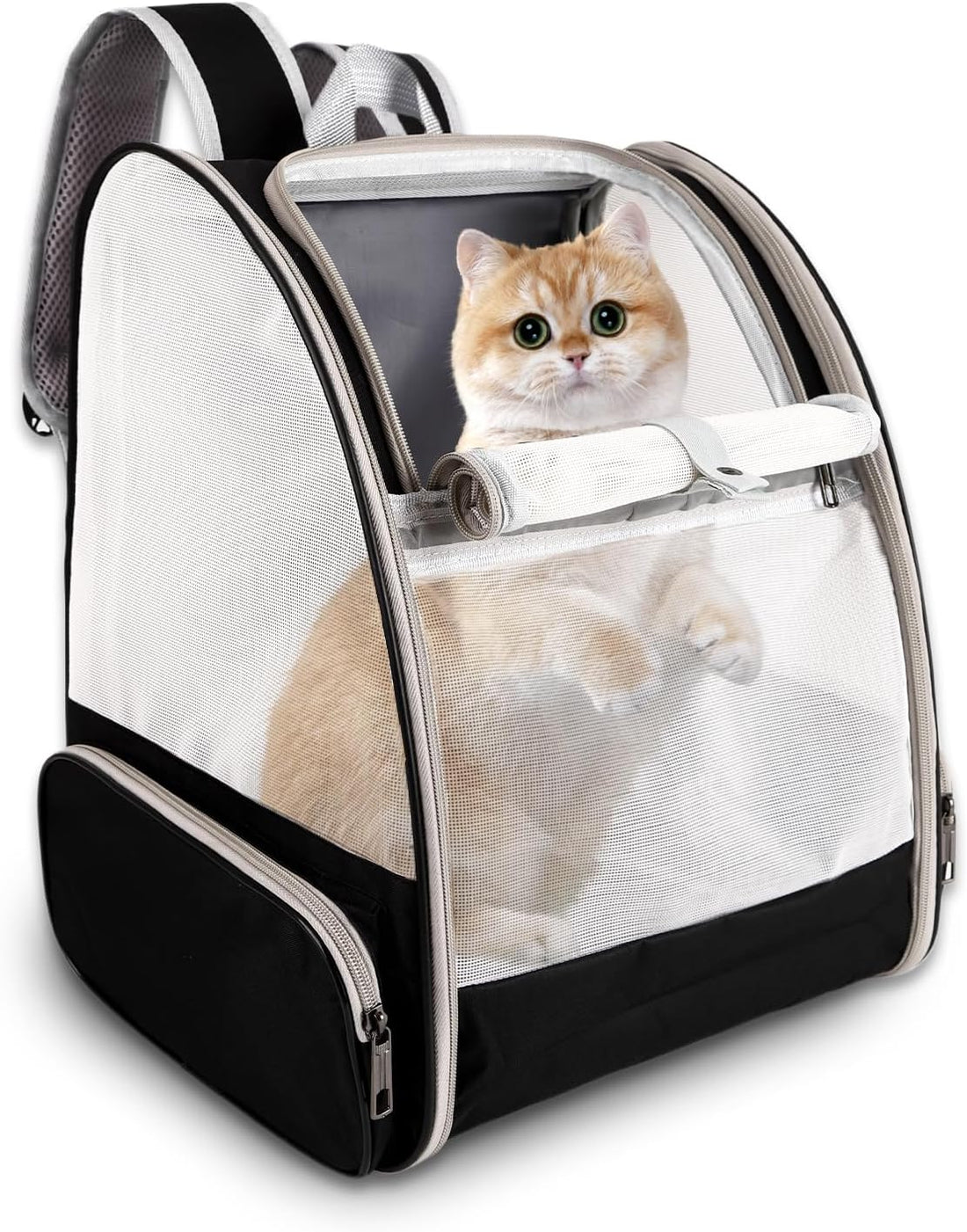 Cat Backpack Carrier,Pet Carrier Airline Approved for Small Dog Cat