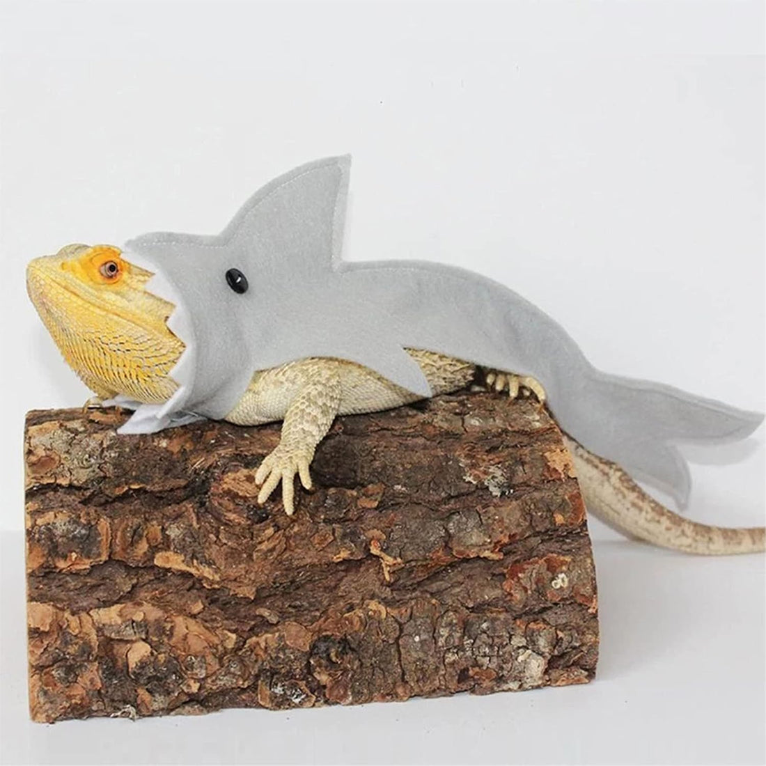 3 Pcs Shark Bearded Dragon Costume Felt Lizard Outfit Halloween Small
