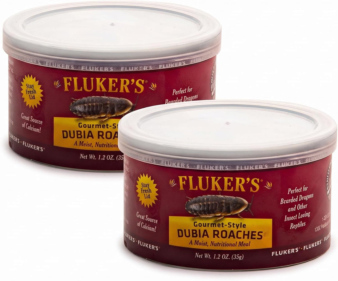 Fluker's Gourmet Mealworms, Canned Food for Reptiles, Fish