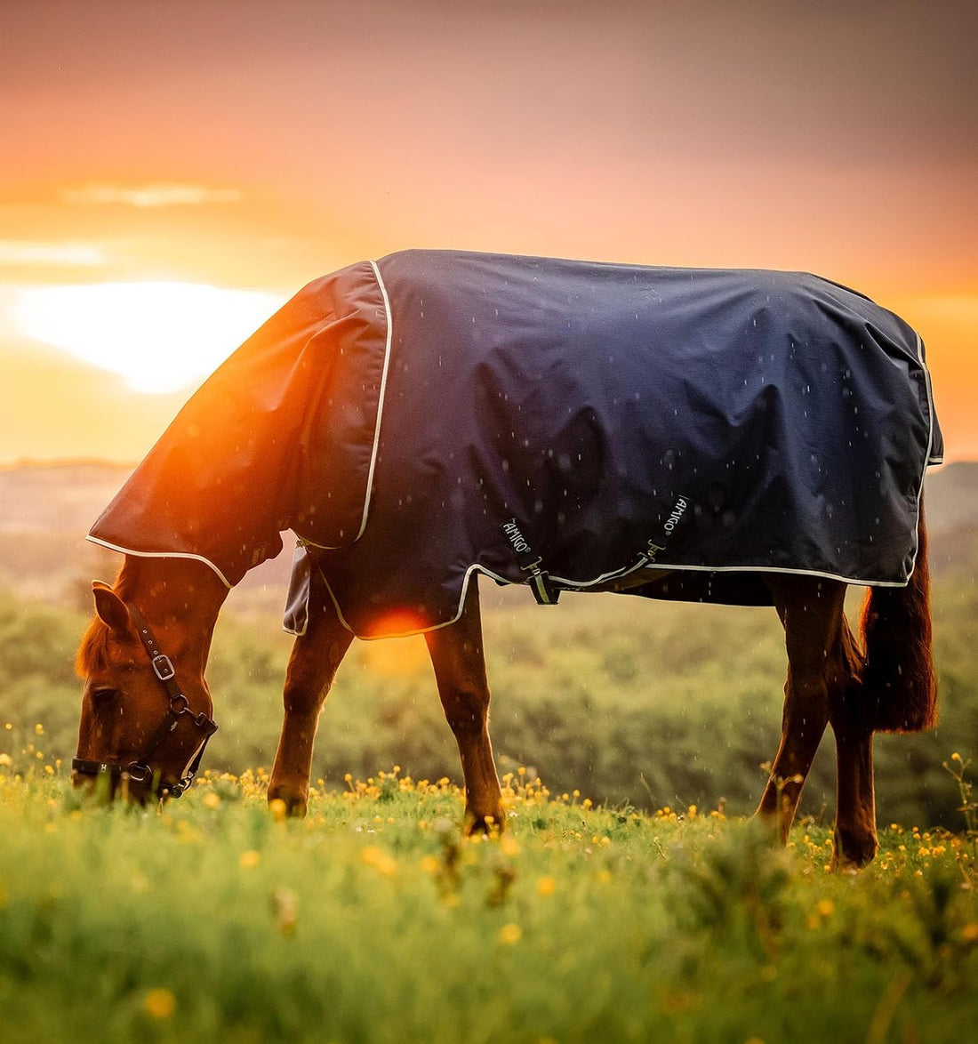 Amigo® Ripstop 900D Plus Turnout 0g - Witney Navy, 66 inches