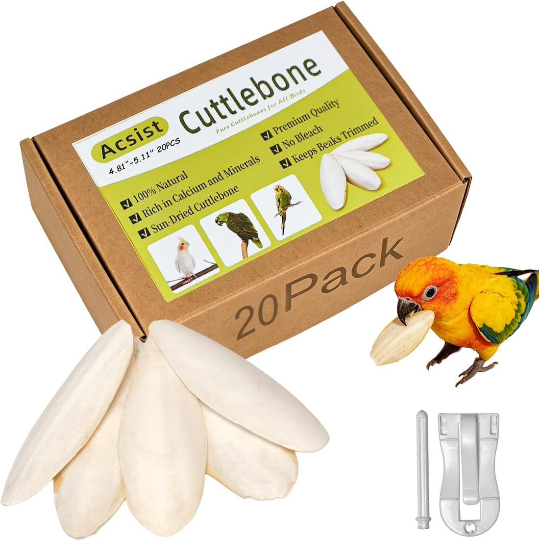 4.3"-4.7" Cuttlebone for Birds,Natural Cuttlefish Bone