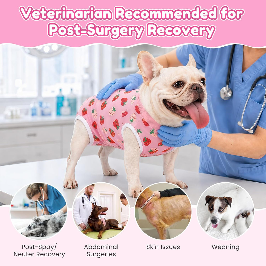 Surgery Suit for Female Dog After Spaying with Back Zipper