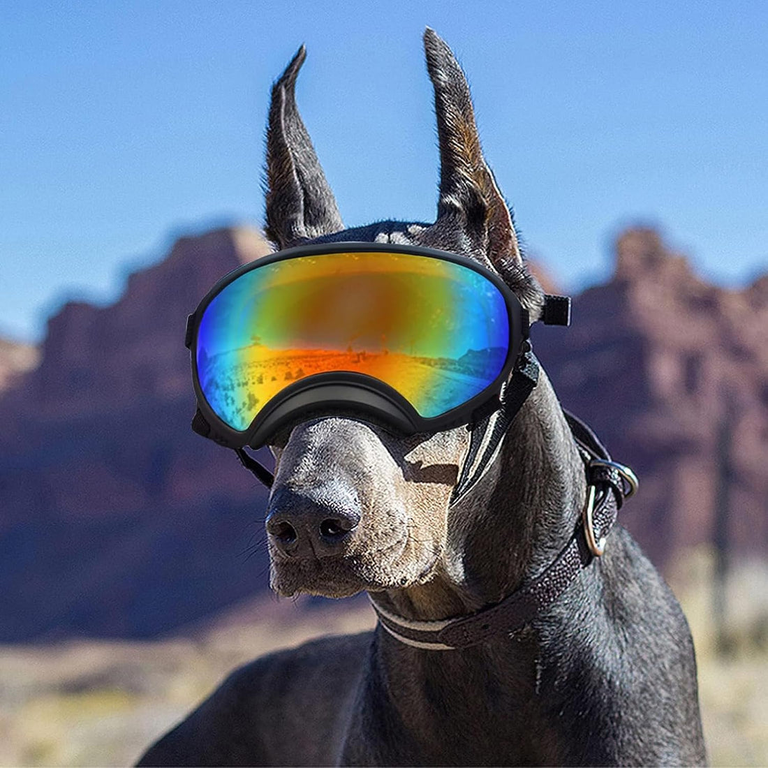 Pacify Dog Goggles for Large Dogs